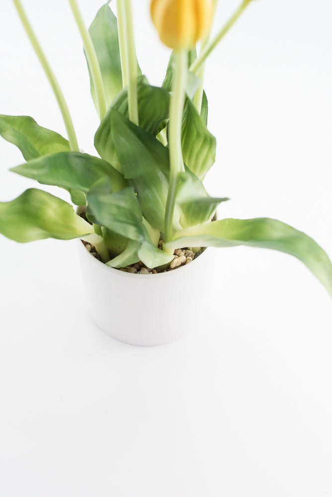 Artificial, Yellow, tulips in a container - Greenery Market6544-Y
