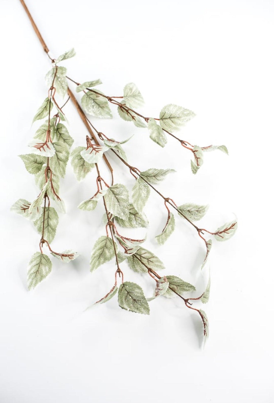 Aspen iced leaves spray - green - Greenery MarketMTX68982 GRN