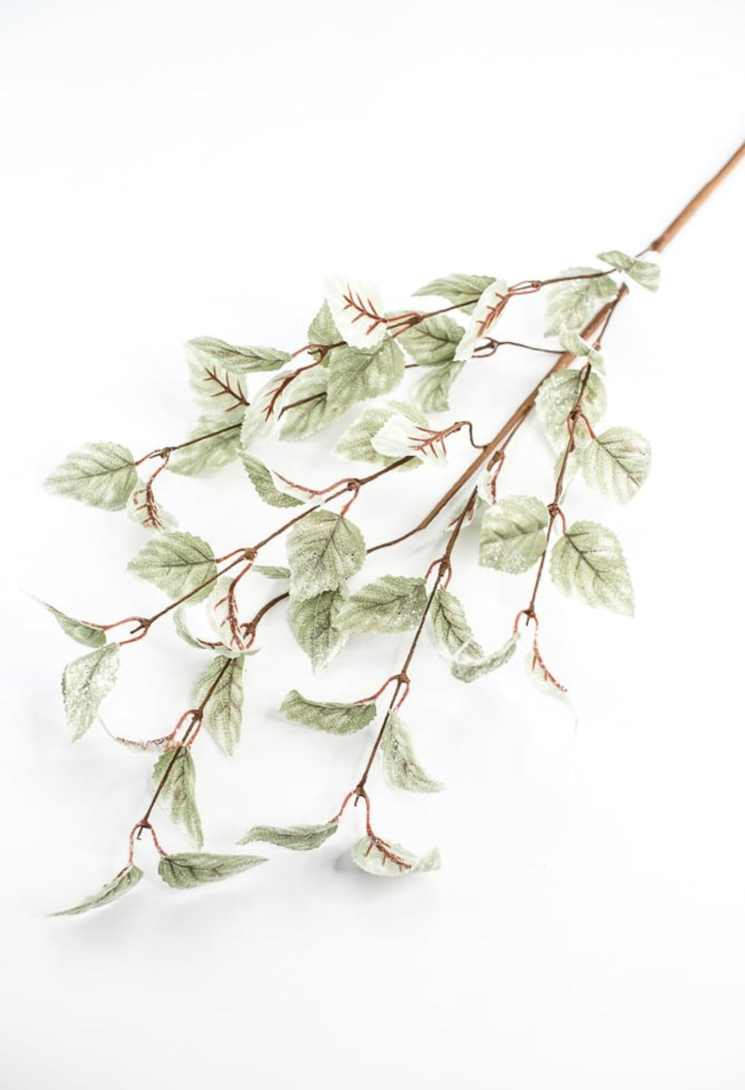 Aspen iced leaves spray - green - Greenery MarketMTX68982 GRN