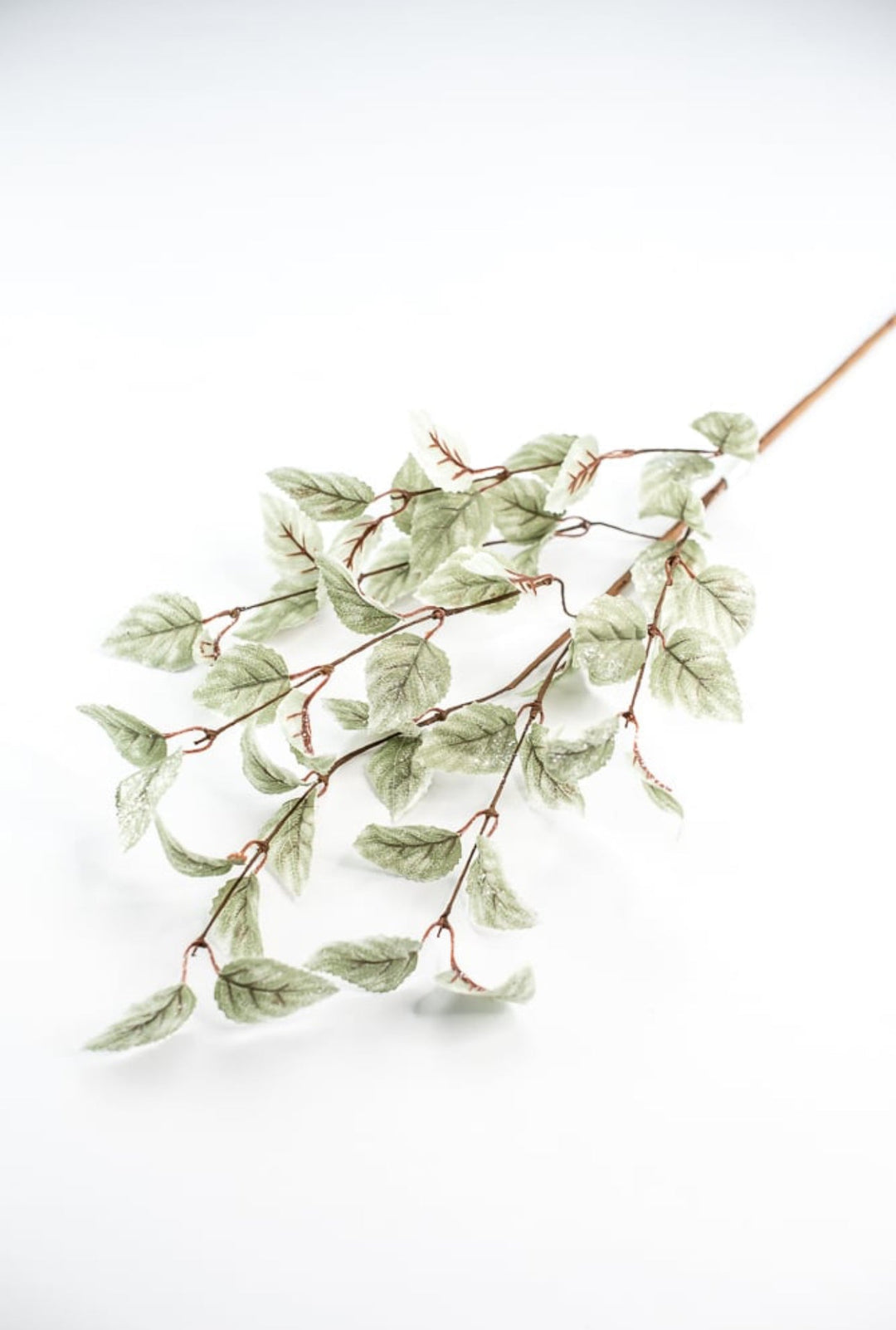 Aspen iced leaves spray - green - Greenery MarketMTX68982 GRN