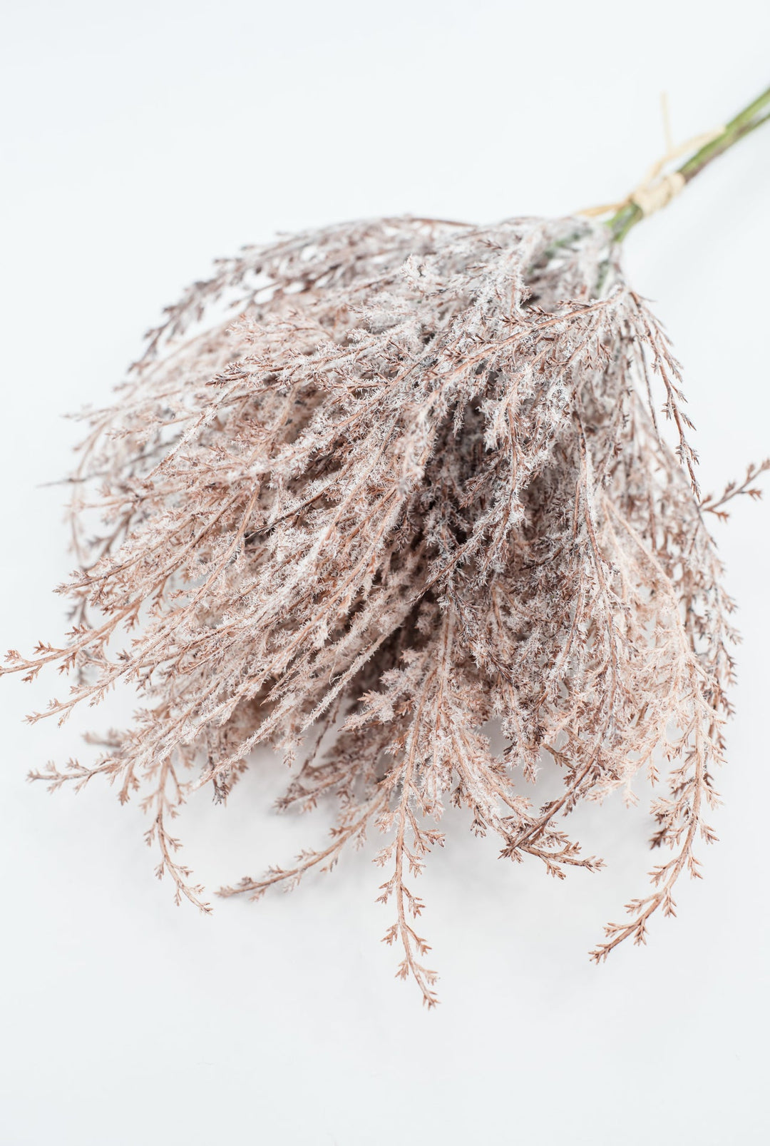 Astilbe bundle - brown - Greenery MarketArtificial Flora26294