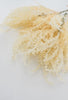 Astilbe bundle x 4 - cream - Greenery MarketArtificial Flora26289