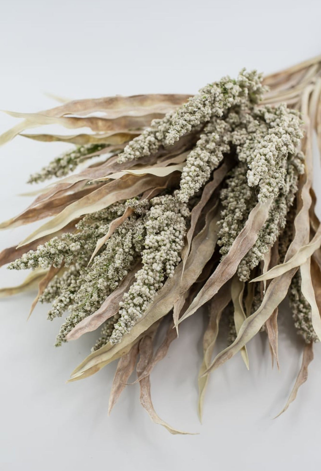 Astilbe wheat grass bush - cream tan - Greenery MarketArtificial Flora26471