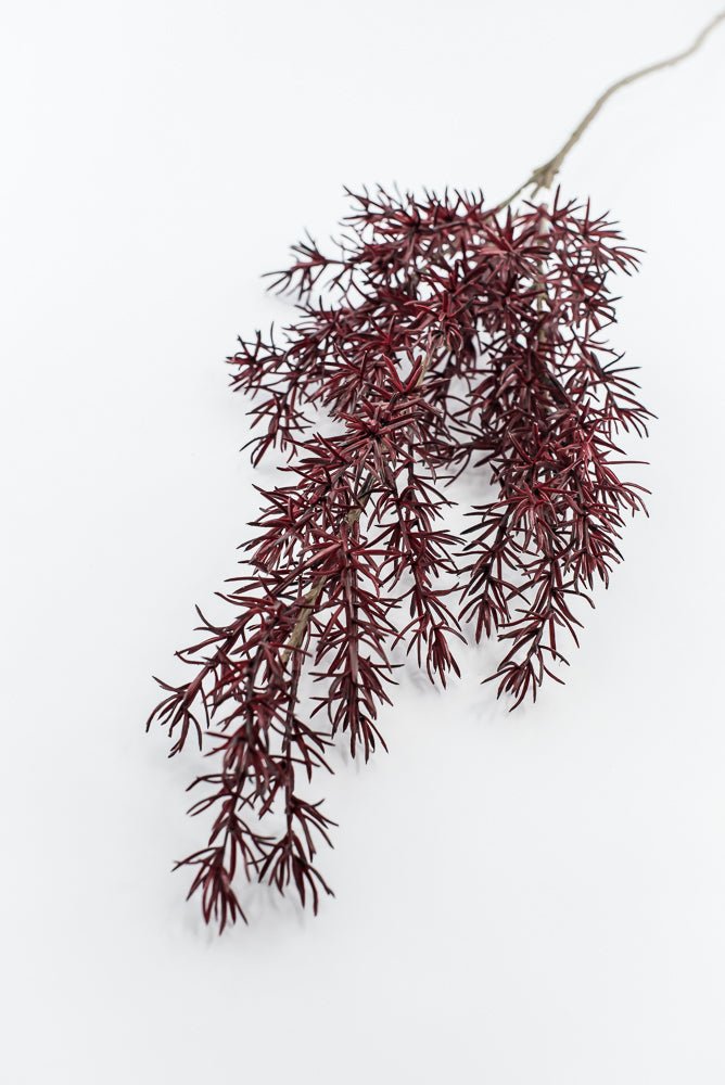 Autumn Asparagus Fern Spray - Burgundy - Greenery MarketArtificial FloraPSF643-BU