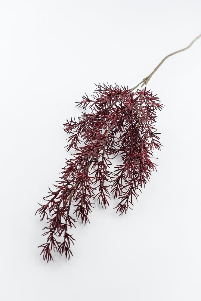 Autumn Asparagus Fern Spray - Burgundy - Greenery MarketArtificial FloraPSF643-BU