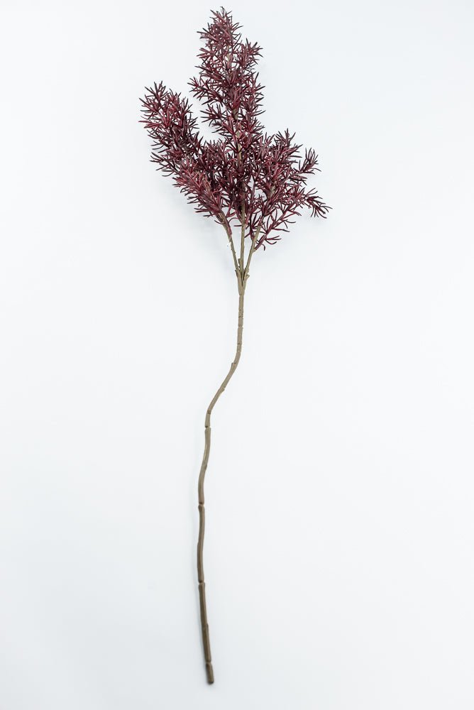 Autumn Asparagus Fern Spray - Burgundy - Greenery MarketArtificial FloraPSF643-BU