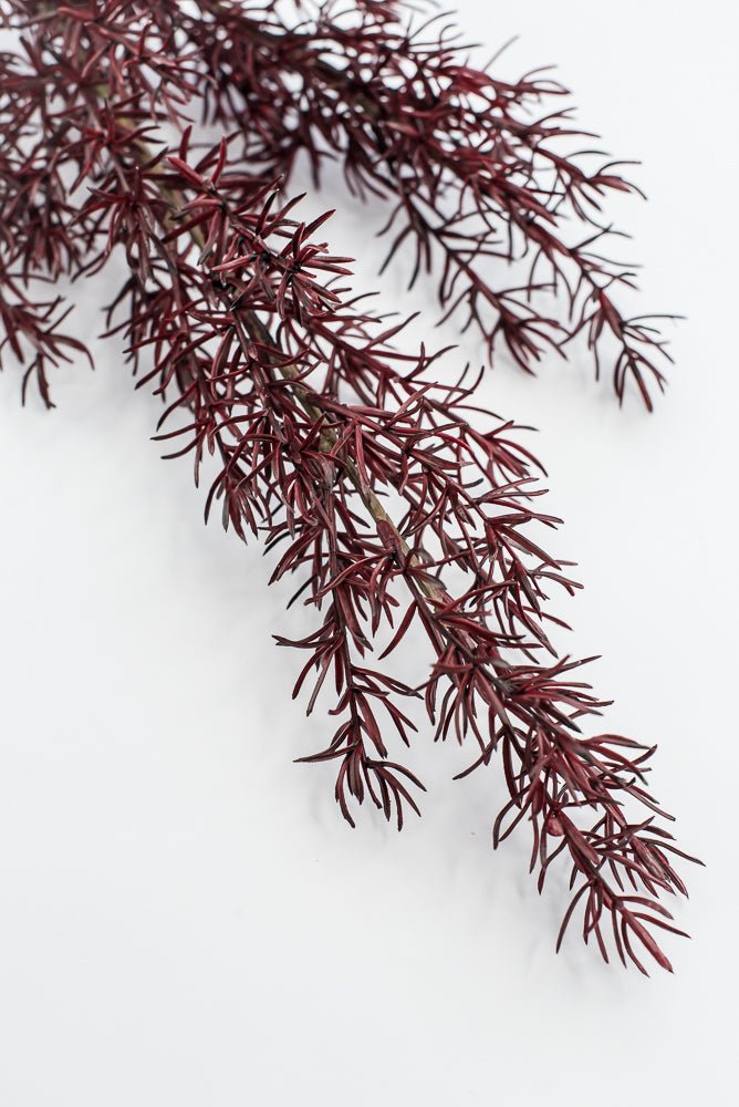 Autumn Asparagus Fern Spray - Burgundy - Greenery MarketArtificial FloraPSF643-BU