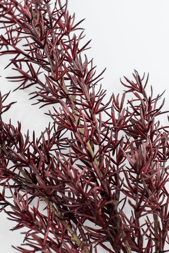 Autumn Asparagus Fern Spray - Burgundy - Greenery MarketArtificial FloraPSF643-BU