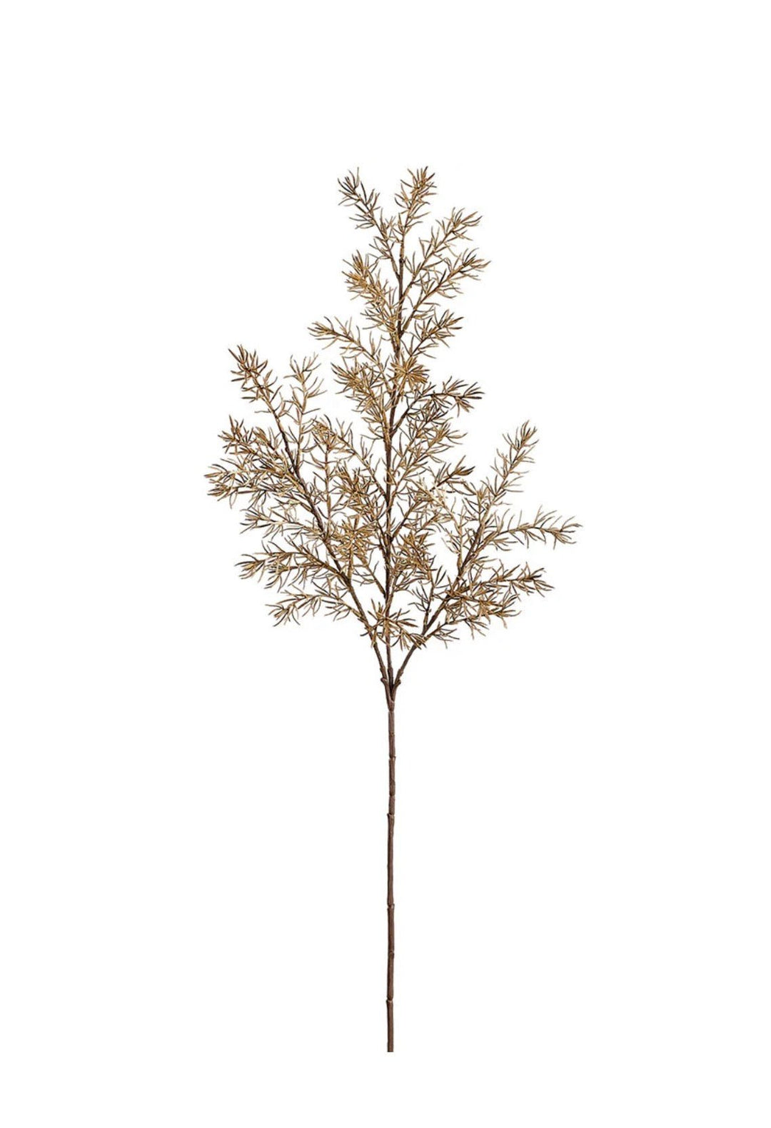 Autumn Asparagus Fern Spray - Greenery MarketArtificial FloraPSF643-BE/GR