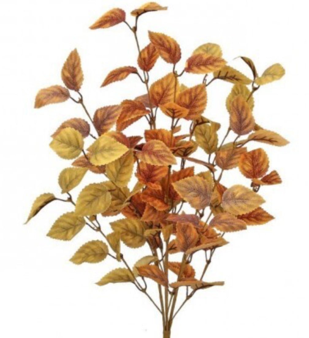 Autumn beech leaf bush - mixed - Greenery MarketgreeneryMTH12824 - hahx