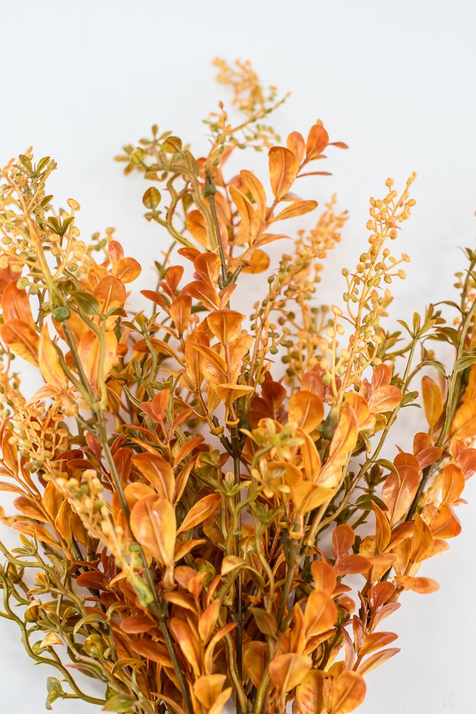 Autumn Boxwood Seedum bush - Greenery Marketgreenery57014YWBN