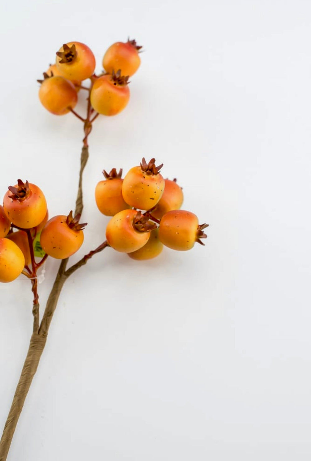 Autumn crabapple berry pick - Greenery Market57159OR