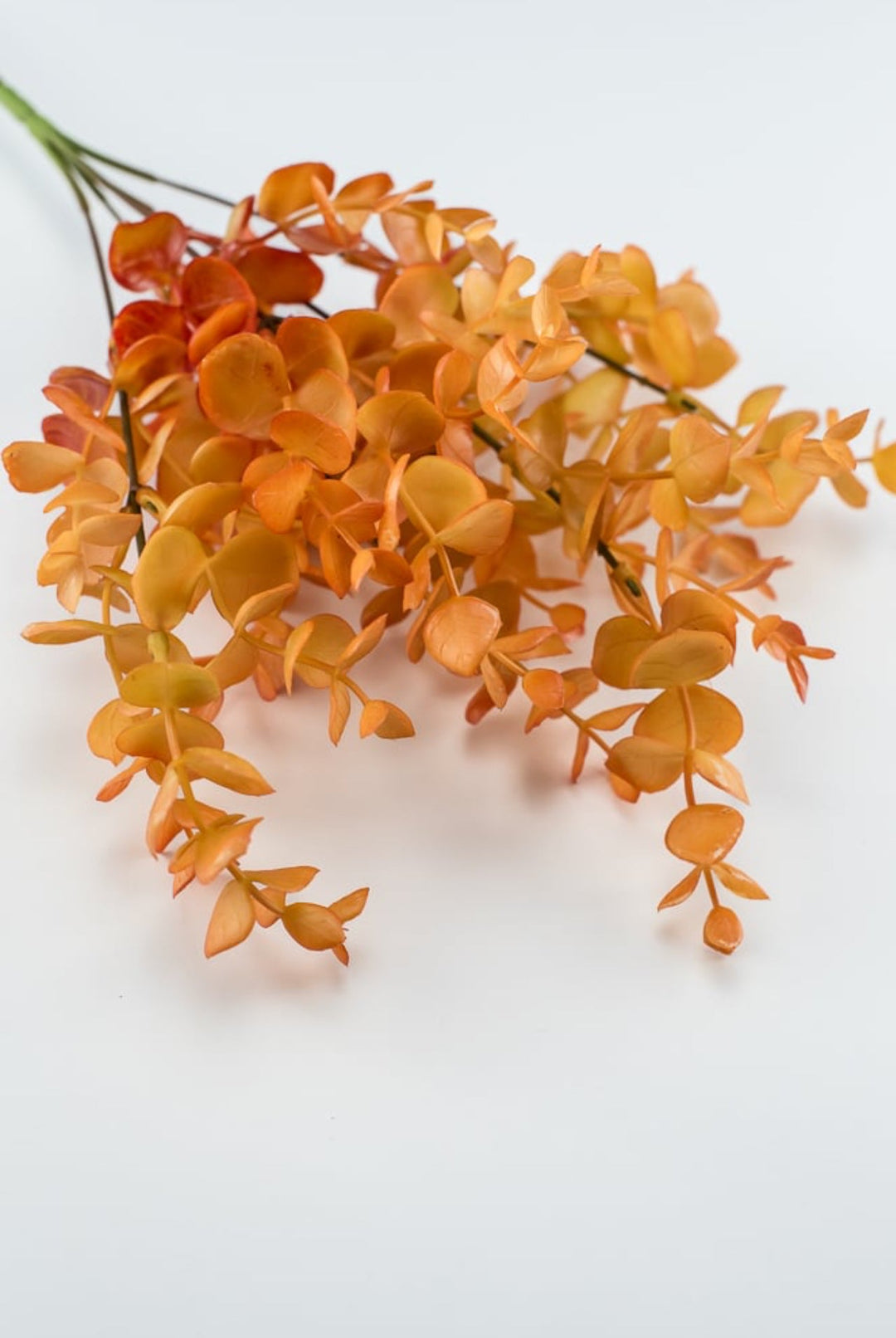 Autumn eucalyptus bush - orange - Greenery MarketFL5758 - OR