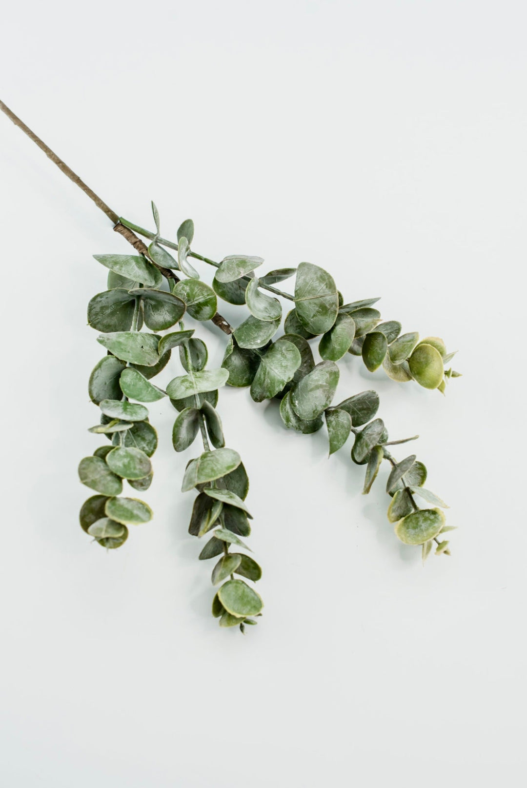 Autumn Eucalyptus pick - warm golden tipped - Greenery MarketArtificial Flora26265