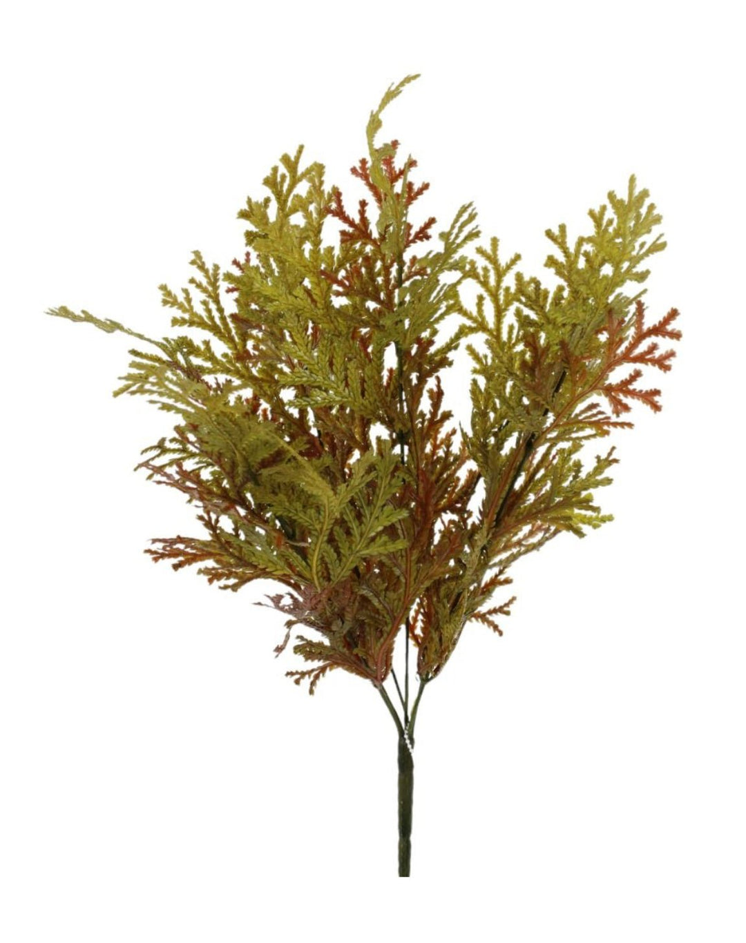 Autumn fern bush - orange / brown - Greenery Marketgreenery231822