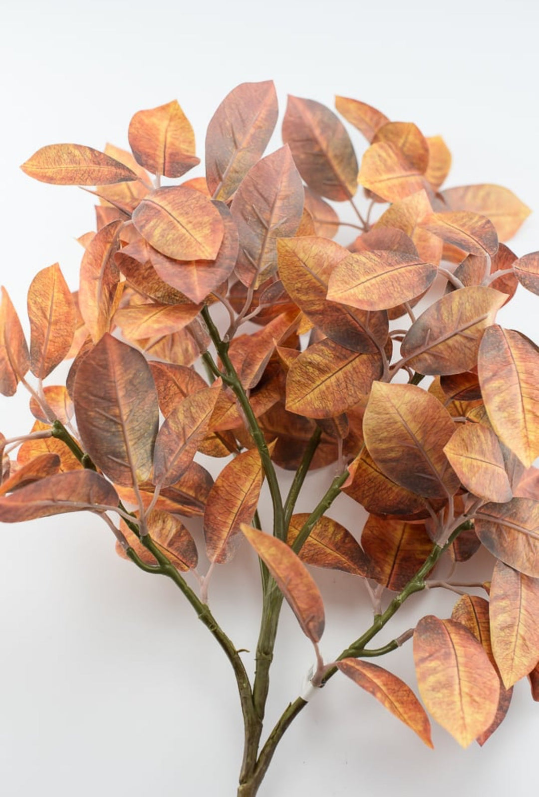 Autumn ficus leaves spray - browns - Greenery Market2751135FA