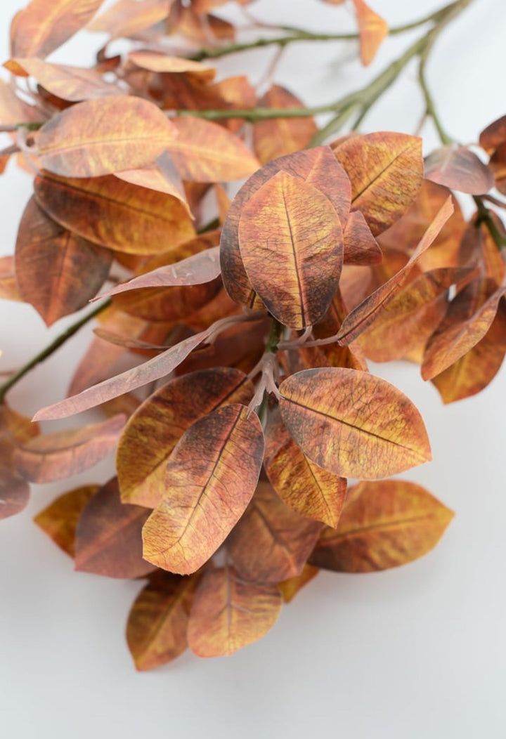 Autumn ficus leaves spray - browns - Greenery Market2751135FA