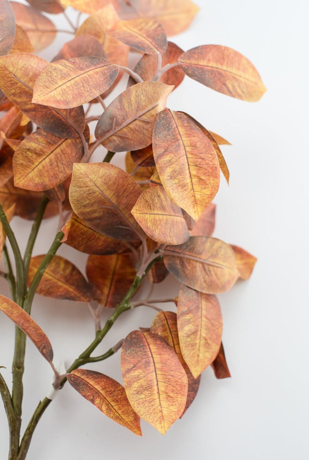 Autumn ficus leaves spray - browns - Greenery Market2751135FA