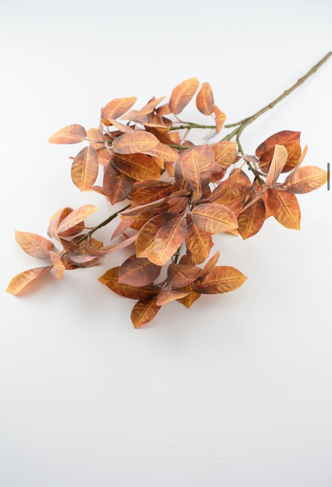 Autumn ficus leaves spray - browns - Greenery Market2751135FA