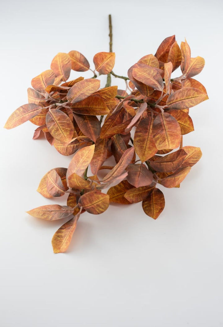 Autumn ficus leaves spray - browns - Greenery Market2751135FA