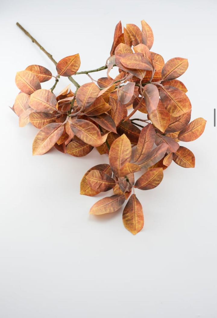 Autumn ficus leaves spray - browns - Greenery Market2751135FA