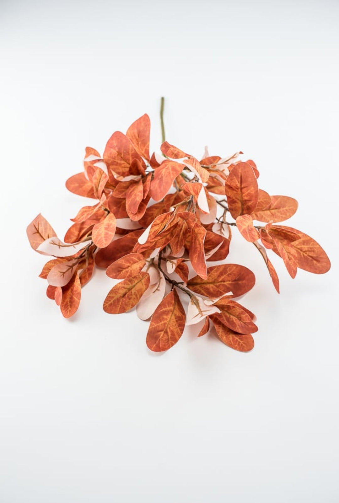 Autumn leaves bush - rust - Greenery MarketFL6097 - RT