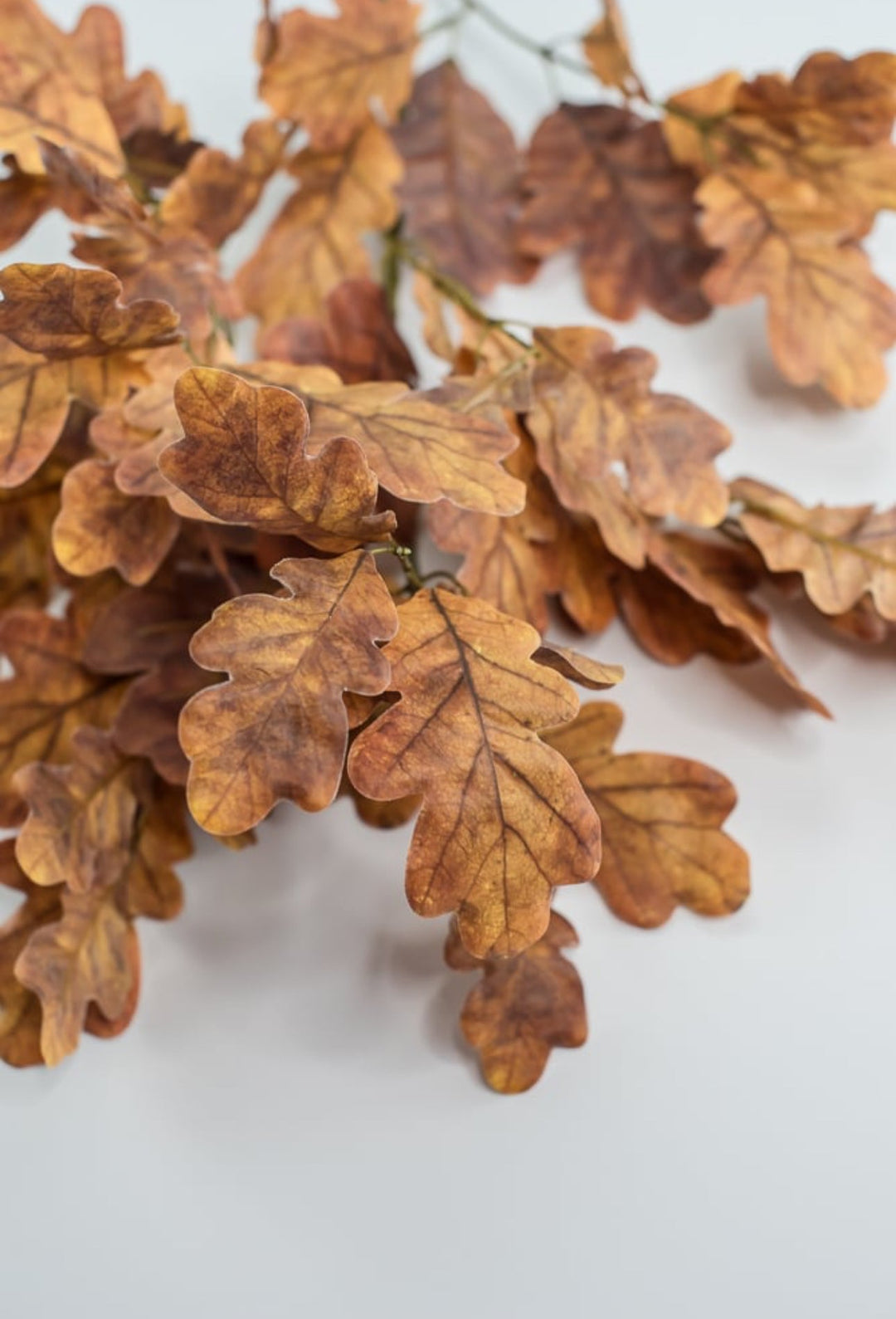 Autumn oak leaves spray - brown gold - Greenery Market2754022BR