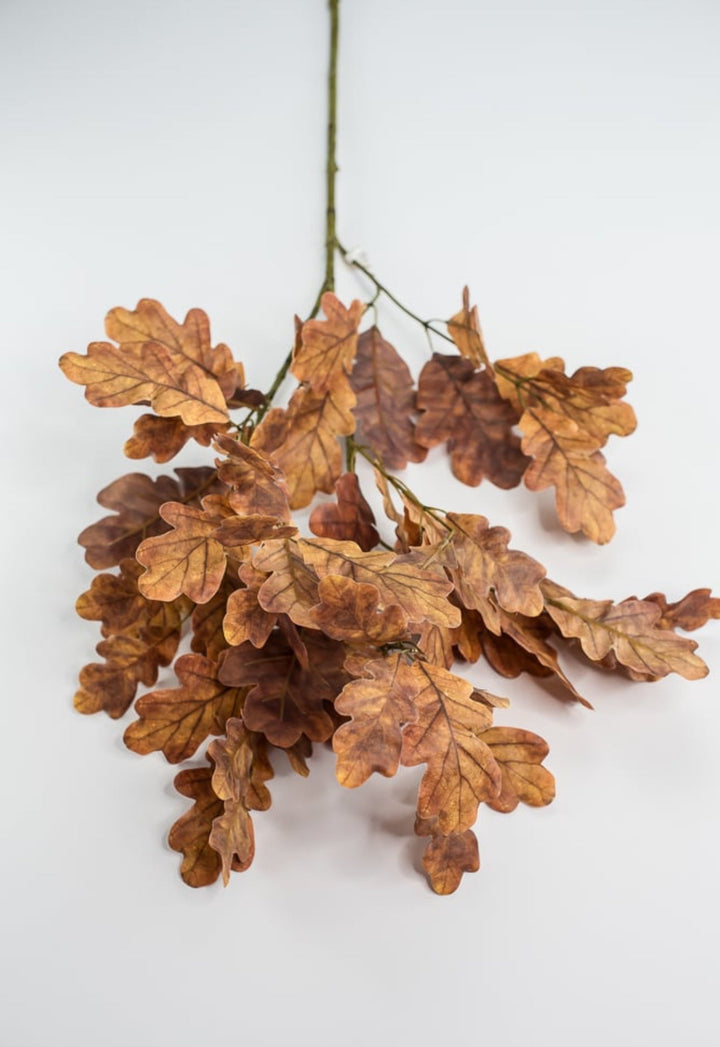 Autumn oak leaves spray - brown gold - Greenery Market2754022BR