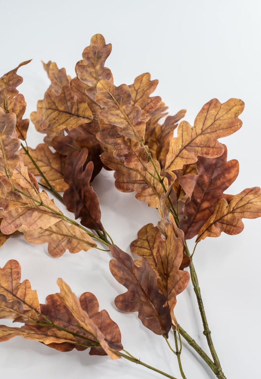 Autumn oak leaves spray - brown gold - Greenery Market2754022BR