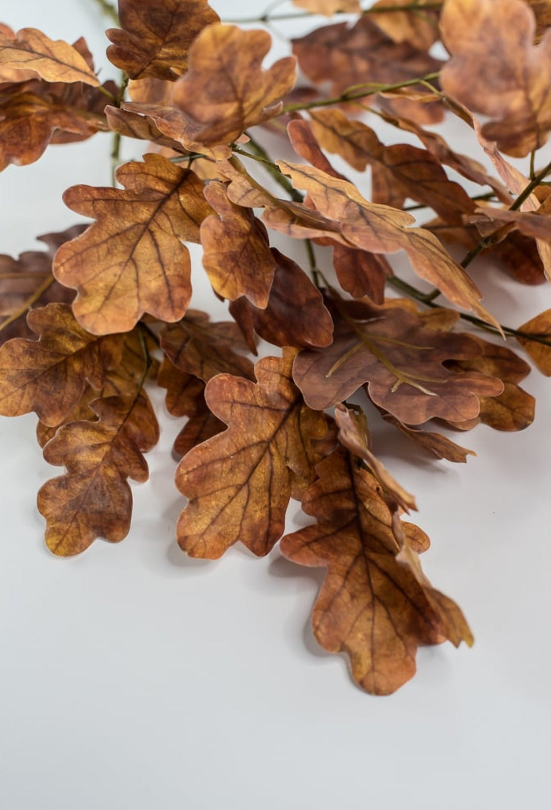 Autumn oak leaves spray - brown gold - Greenery Market2754022BR