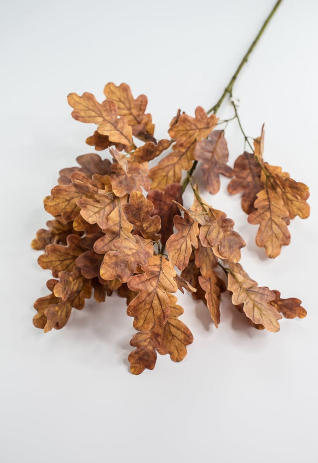 Autumn oak leaves spray - brown gold - Greenery Market2754022BR