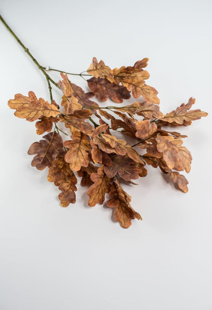 Autumn oak leaves spray - brown gold - Greenery Market2754022BR