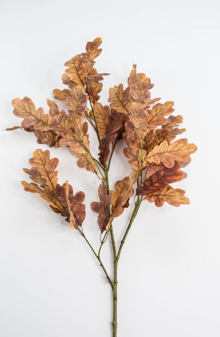 Autumn oak leaves spray - brown gold - Greenery Market2754022BR