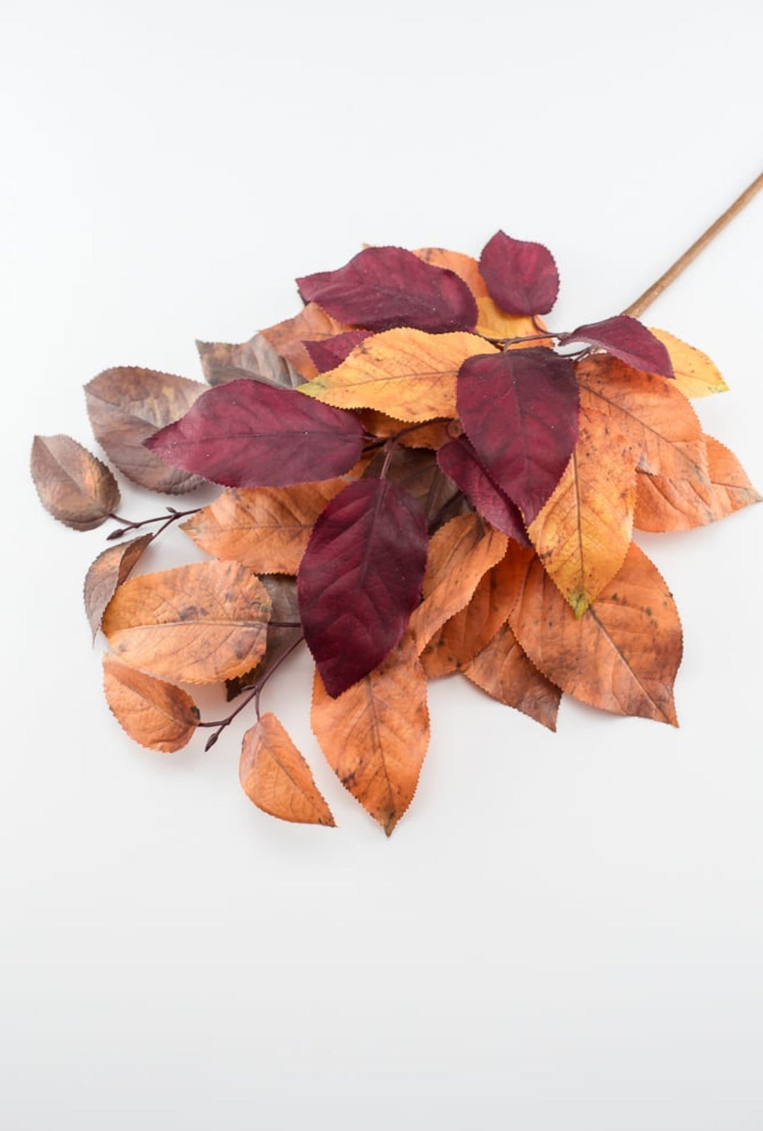 Autumn salal leaves spray - brown plum - Greenery Market2752045BR