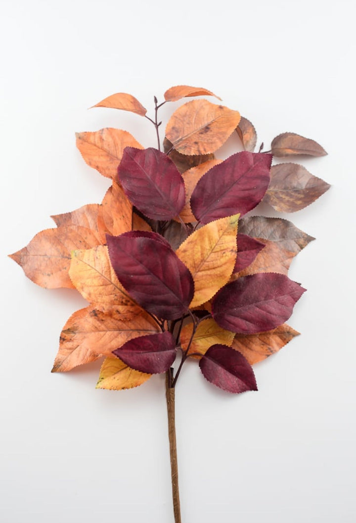 Autumn salal leaves spray - brown plum - Greenery Market2752045BR