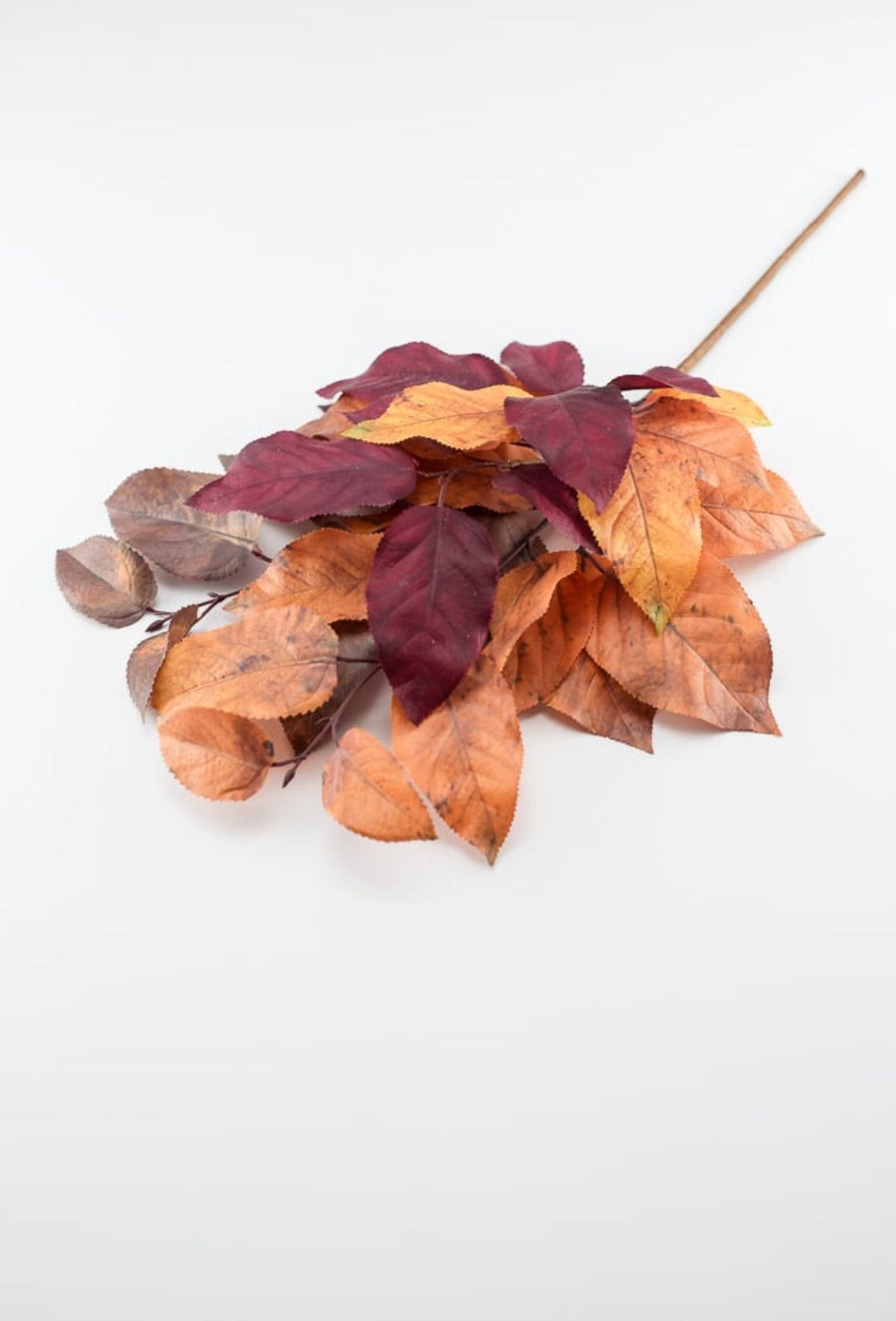 Autumn salal leaves spray - brown plum - Greenery Market2752045BR