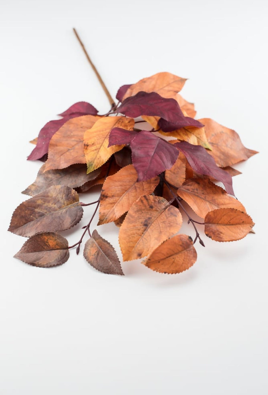 Autumn salal leaves spray - brown plum - Greenery Market2752045BR