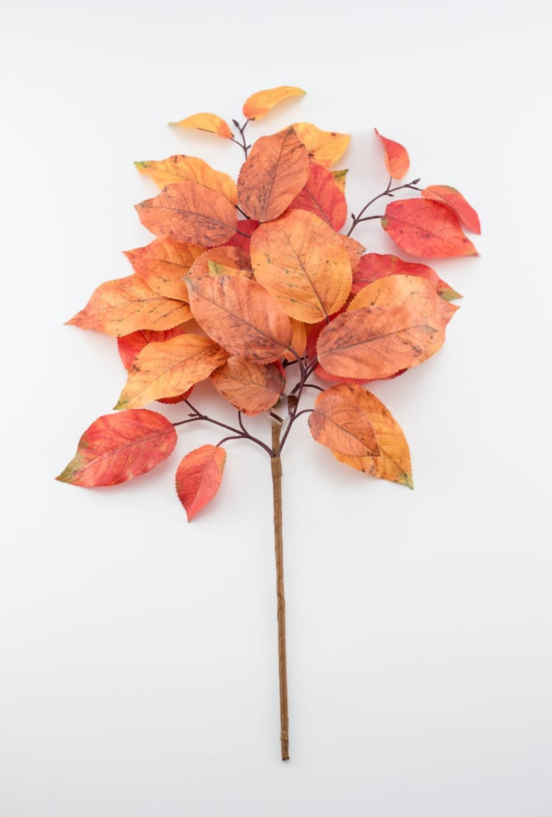 Autumn salal leaves spray - rust orange - Greenery Market2752045RO