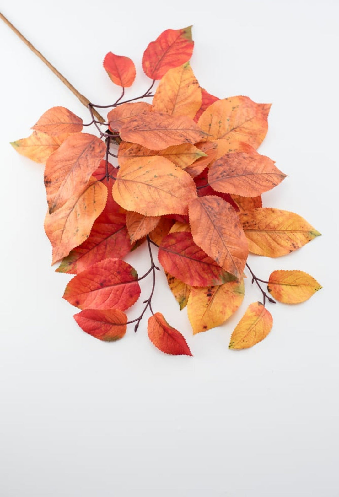 Autumn salal leaves spray - rust orange - Greenery Market2752045RO