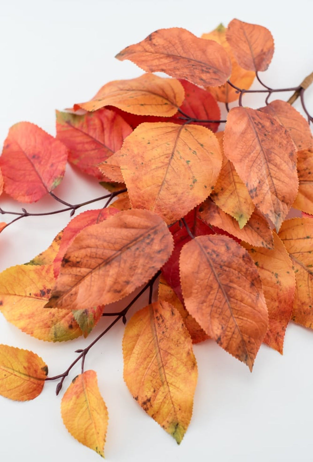 Autumn salal leaves spray - rust orange - Greenery Market2752045RO