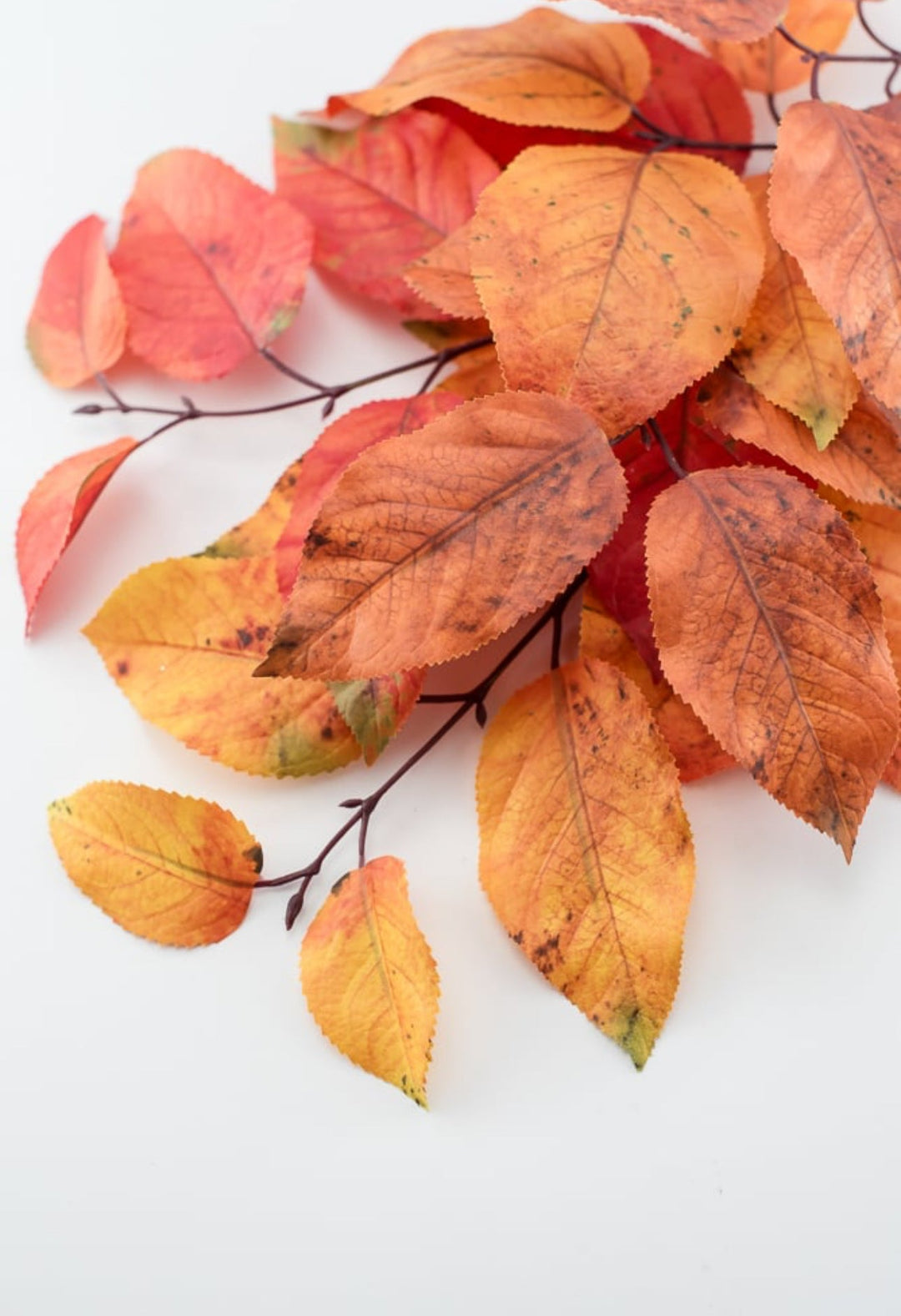 Autumn salal leaves spray - rust orange - Greenery Market2752045RO