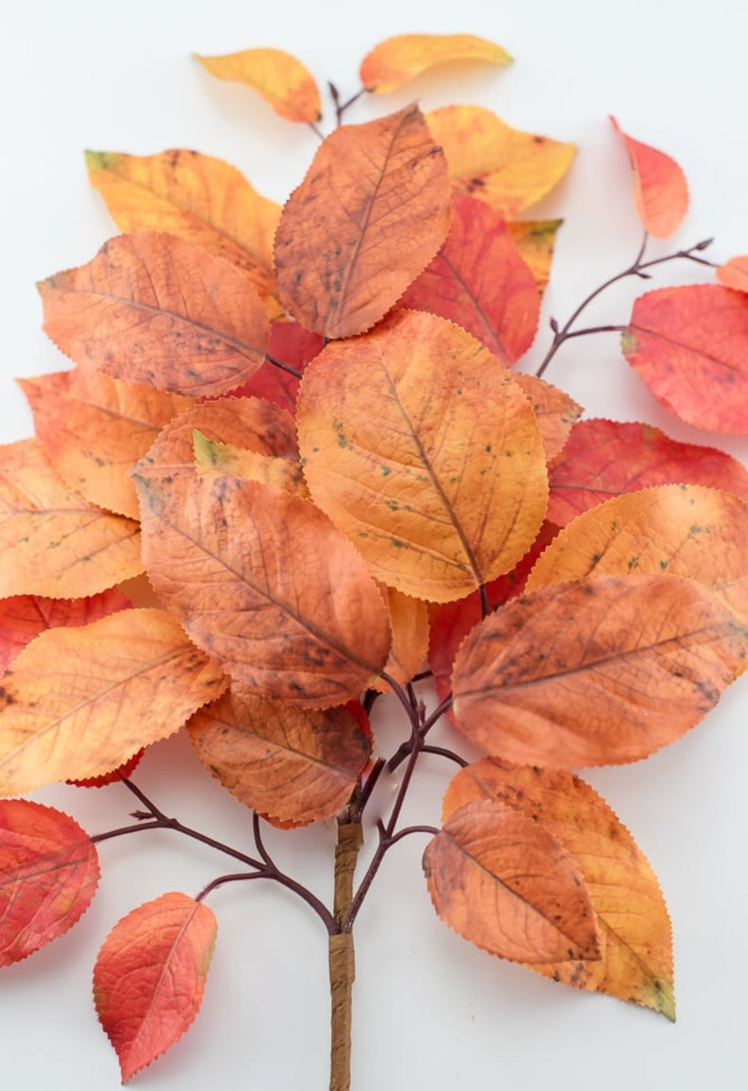 Autumn salal leaves spray - rust orange - Greenery Market2752045RO