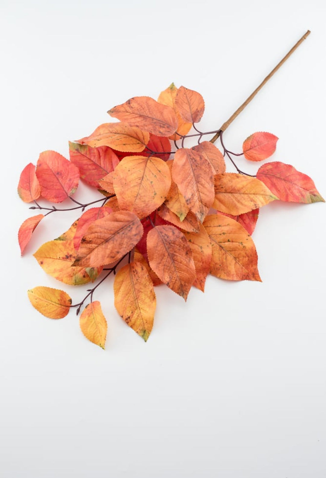 Autumn salal leaves spray - rust orange - Greenery Market2752045RO