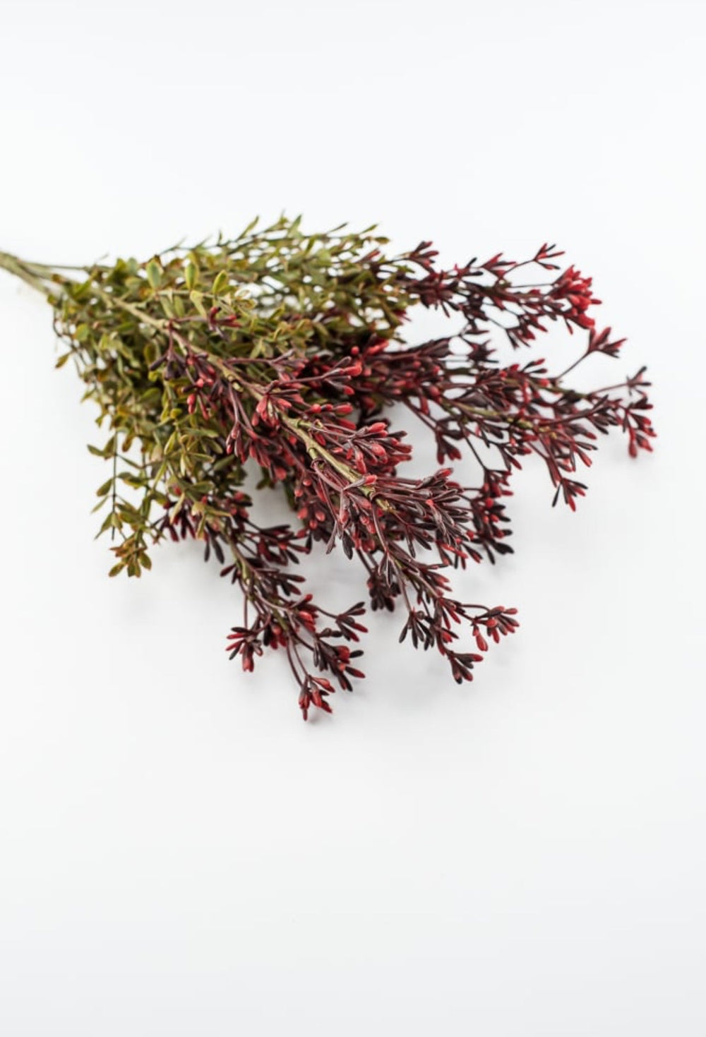 Autumn seed spike bush, burgundy / moss - Greenery MarketgreeneryFL5016 - BUMS