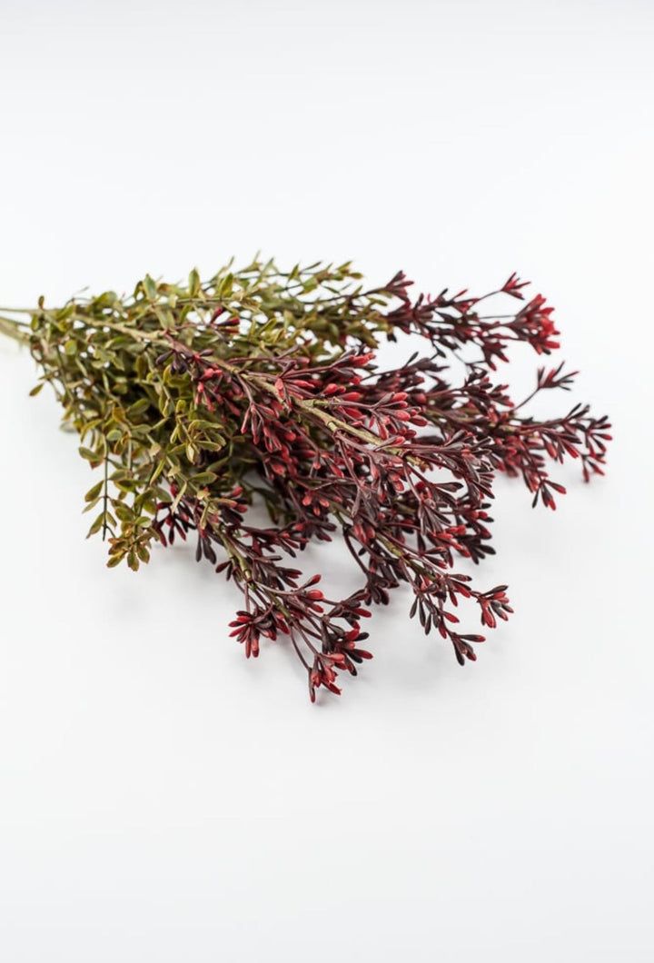 Autumn seed spike bush, burgundy / moss - Greenery MarketgreeneryFL5016 - BUMS