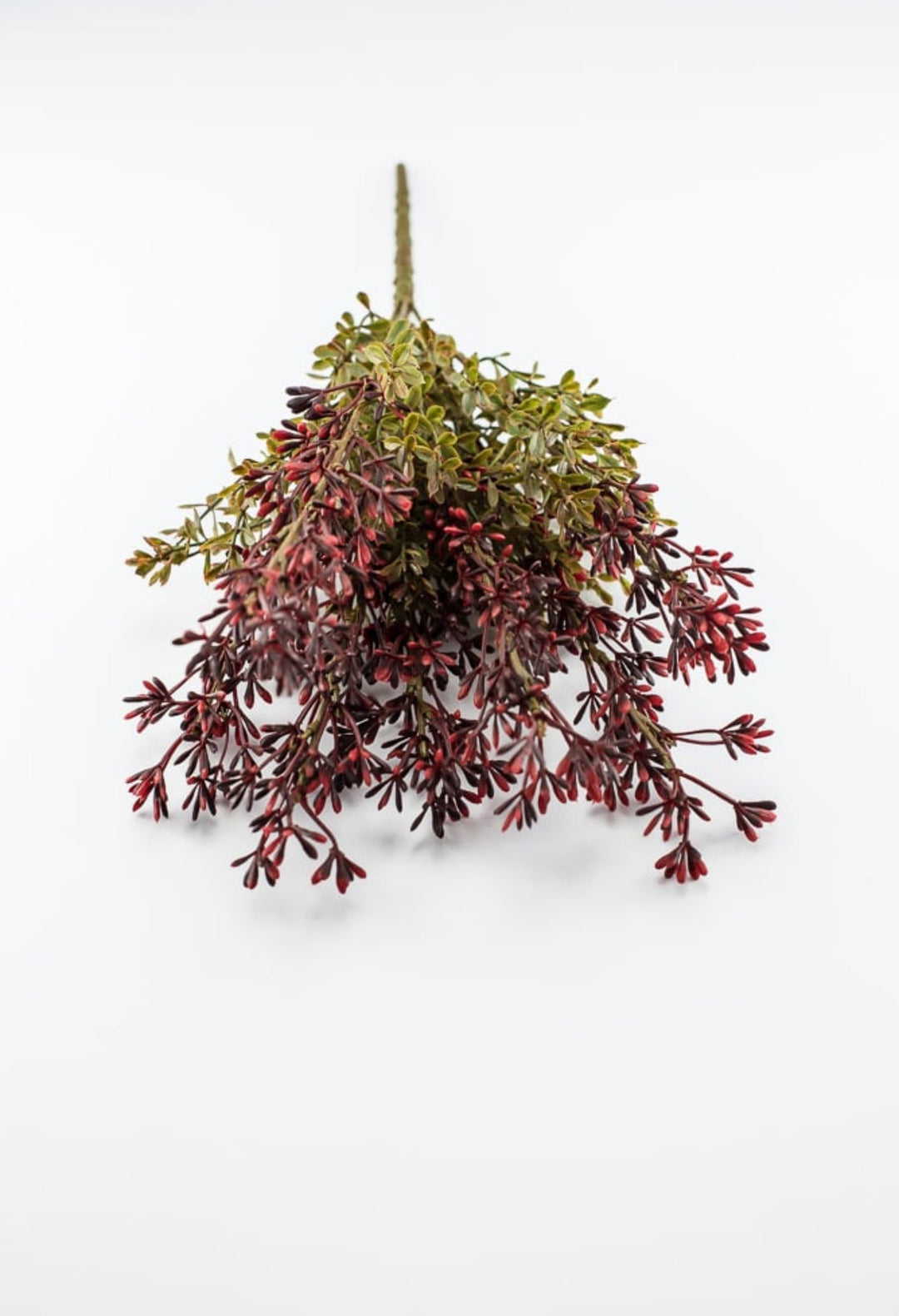 Autumn seed spike bush, burgundy / moss - Greenery MarketgreeneryFL5016 - BUMS