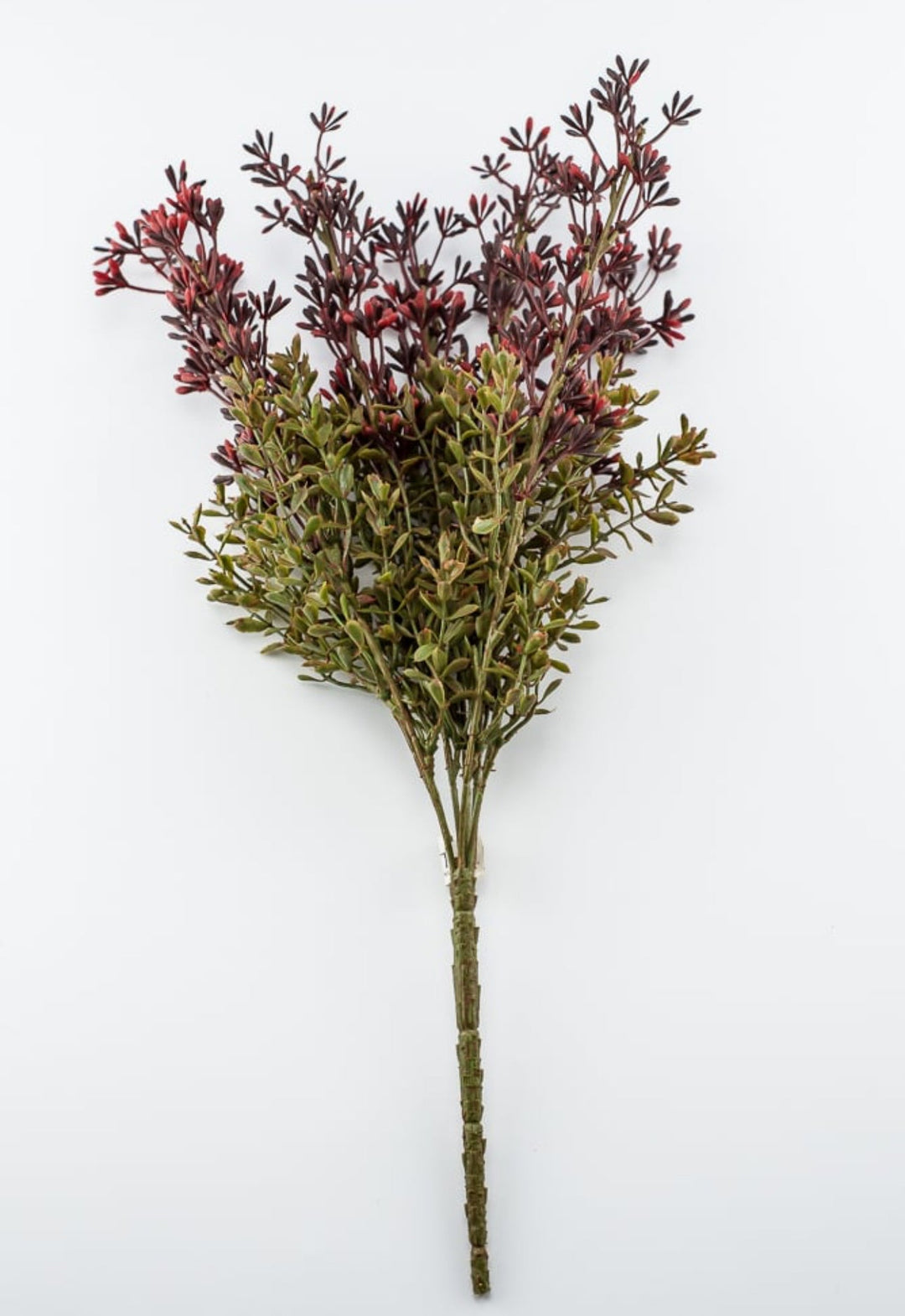 Autumn seed spike bush, burgundy / moss - Greenery MarketgreeneryFL5016 - BUMS