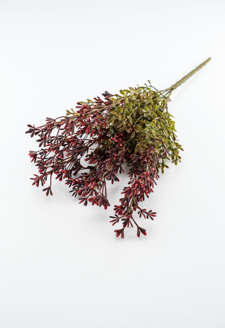 Autumn seed spike bush, burgundy / moss - Greenery MarketgreeneryFL5016 - BUMS