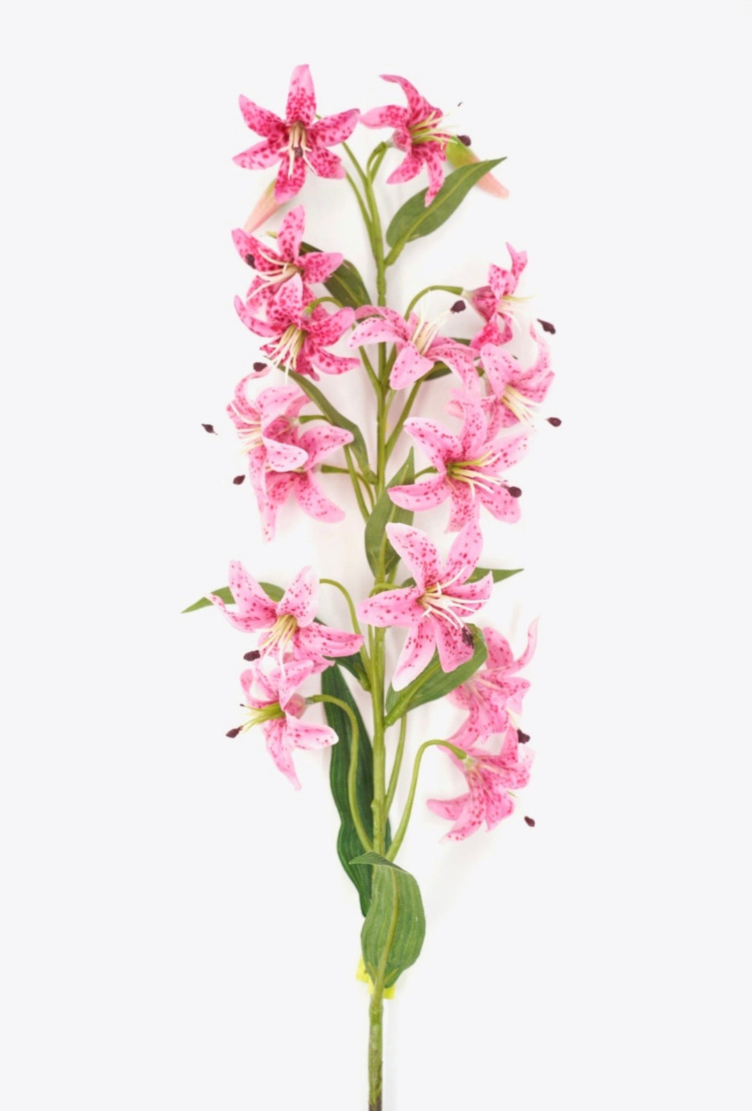 Beauty Cap Lily Stem - 32" - Greenery MarketArtificial Flowers64050BT