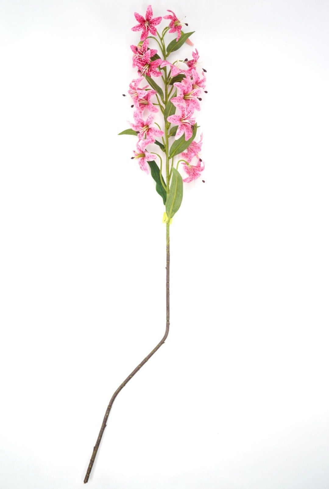 Beauty Cap Lily Stem - 32" - Greenery MarketArtificial Flowers64050BT